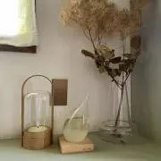 きなこの画像
