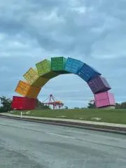 ろろの画像