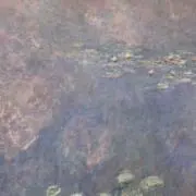 ゆの画像