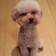きゃな☺︎の画像