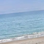 ひめころの画像