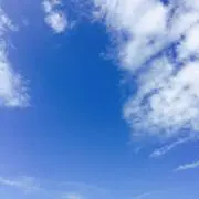 ゆーの画像