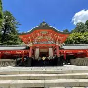 タケノコの画像