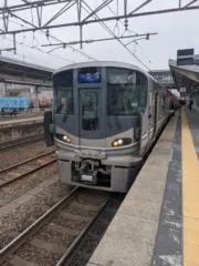 りゅうせいの画像