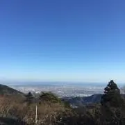 エイの画像