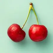 ponponの画像