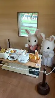 ゆかの画像