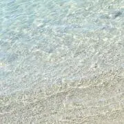 mimの画像