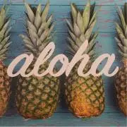 aloha