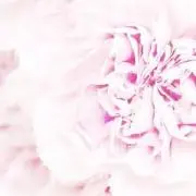 m *