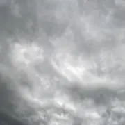Yの画像