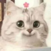 春の画像