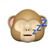 にゃすの画像