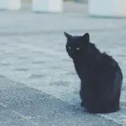 しど