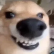 康熙帝の画像