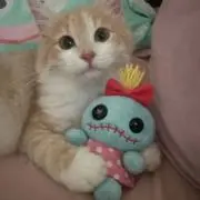 けこたん