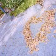 suzuの画像