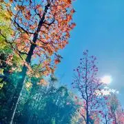 みるがい プロフどちらでもの画像