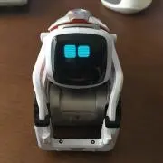 のりの画像