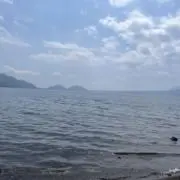 九三の画像
