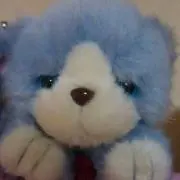にゃんすけ