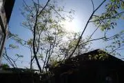 ひろり
