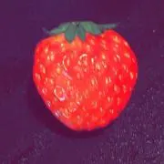 みー