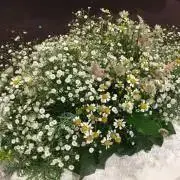 みさっき