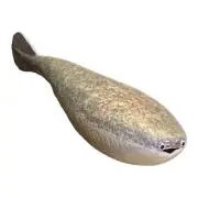 みにみの画像
