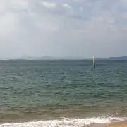 ぽんちゃりの画像