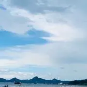 りりの画像