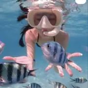 ゆりかの画像