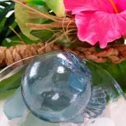 ハッピーyoyoの画像