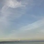 さくらんぼの画像