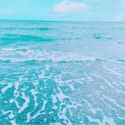 鮭とばの画像