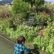 ぴぃの画像