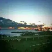 イカの画像