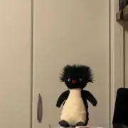 みの画像