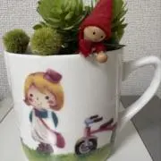 Sakura※の画像