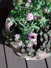 でこの画像