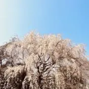 Image of （プロフ必読まとめ割あり）
