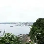 エミ 即購入可の画像