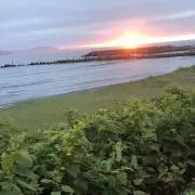 oharu423の画像