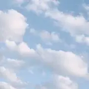 マリの画像