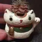 ゆうの画像