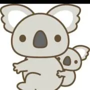 コアラの画像