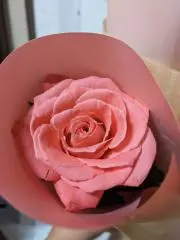 nanaの画像
