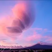 ニアの画像