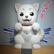 snの画像