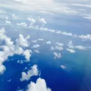 モモ